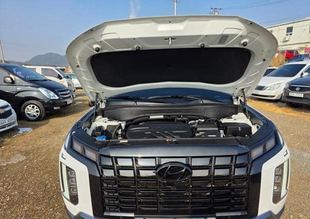 Is the HYUNDAI PALISADE 6 2024 suitable for Ugandan road conditions?