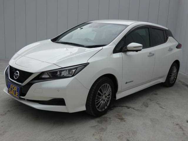 NISSAN LEAF 2019 Best Trim And Spec For Daily Driving