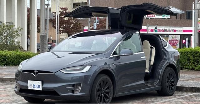 Is the TESLA MODEL X 2020 suitable for Uganda’s road conditions?